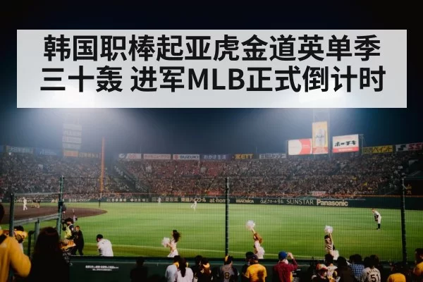baseball stadium night