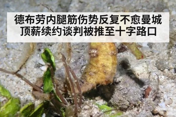 德布劳内腿筋伤势反复不愈曼城顶薪续约谈判被推至十字路口